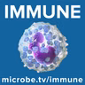 Immune Booster 35: Human immunology and Dengue virus infection with Adam Waickman