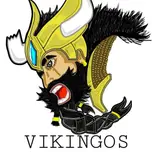 Radio Vikinga