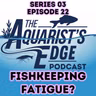 Aquarium Burnout Is Real - How To Recover Without Quitting Fishkeeping