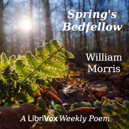 Spring's Bedfellow