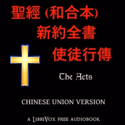 聖經 (和合本) 新約：使徒行傳 (Acts)