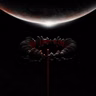 Review de "The Wow! Singal" de Muse.