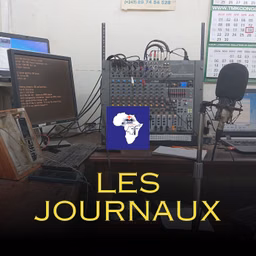 LES JOURNAUX SUR LA RSI