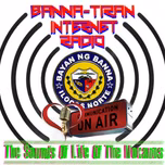 BIR Online Station