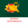 TEMA 4.- DERECHO CONSTITUCIONAL. IDEAS PRINCIPALES CONSTITUCION ESPAÑOLA DE 1978