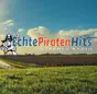 Echte Piratenhits