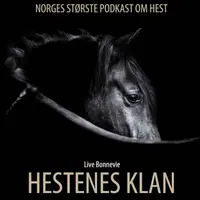 HESTENES KLAN