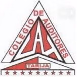 Auditores Tarija