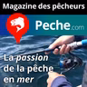 Pêche au coup en mer, quel type d'amorçage pour quel poisson