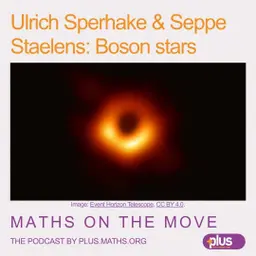 Ulrich Sperhake and Seppe Staelens: Boson stars
