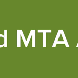 David MTA Ativo