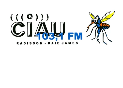 Rádio Caiobá FM (@caiobafm) / X