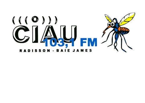 Rádio Caiobá FM