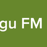 Argungu FM Radio