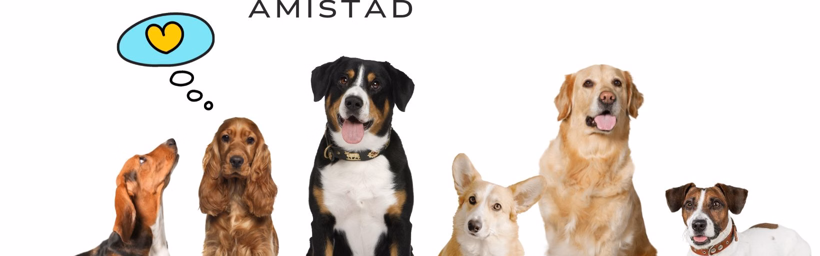 Perros de Martínez