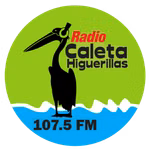Radio Caleta Higuerillas