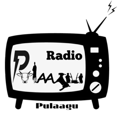 Radio Pulaagu