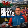 The Welsh Rugby Programme Punching WAY Above Its Weight | Coleg Sir Gar