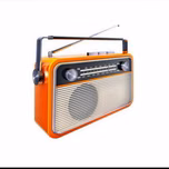 Rádio Raiz Leopoldina
