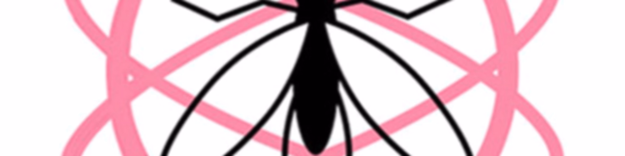 RADIO MOSQUITO
