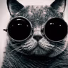 Ceelux Angry Cat - Thank God It's Saturday 21 May 2022