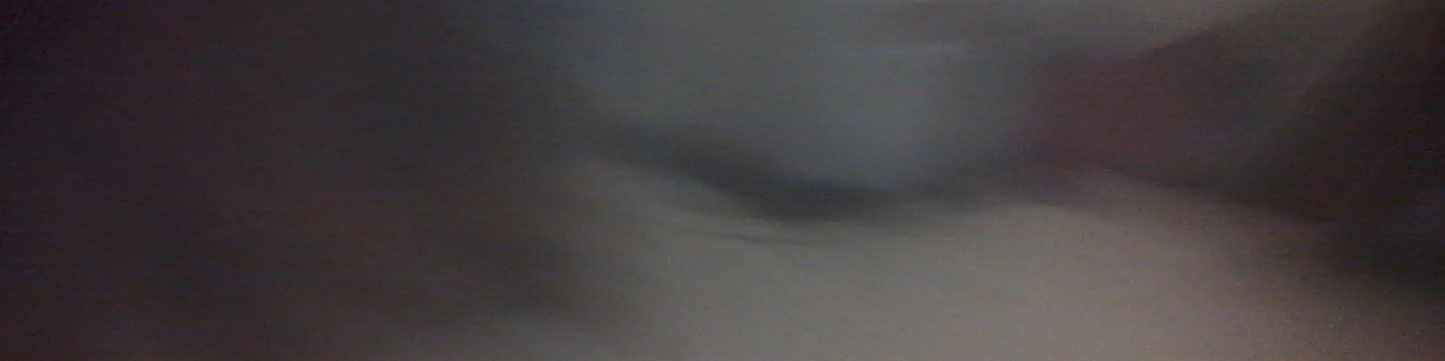 Vicla Domili RAdio