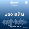 Жінка очима чоловіка