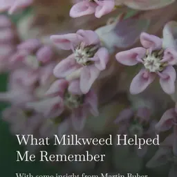 What the Milkweed Helped Me Remember