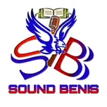 RADIO TELE SOUND BENIS