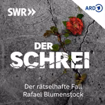 Der Schrei – Der rätselhafte Fall Rafael Blumenstock