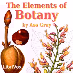 Elements of Botany, The by Asa Gray (1810 - 1888)