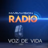 Voz de vida. Reflexiones sobre la Santa Escritura