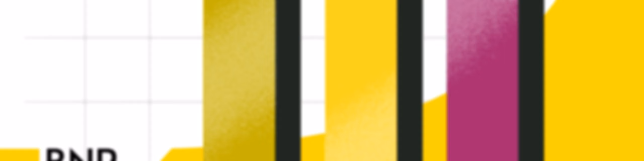 BNR Beleggerspanel | BNR