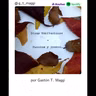 15. "Microtexto I"- Gastón T. Maggi