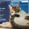Vibe-Coding: Softwareentwicklung als Jekami
