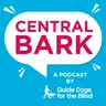 Summer Safety Tips for Dogs