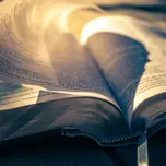 LET THE BIBLE SPEAKS 7 DAY