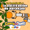 El Naranjo y la Computadora: cuando la tecnología cuida el campo