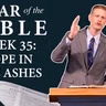 Hope In The Ashes