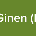 Radio Tele Ginen (EX YU relay)