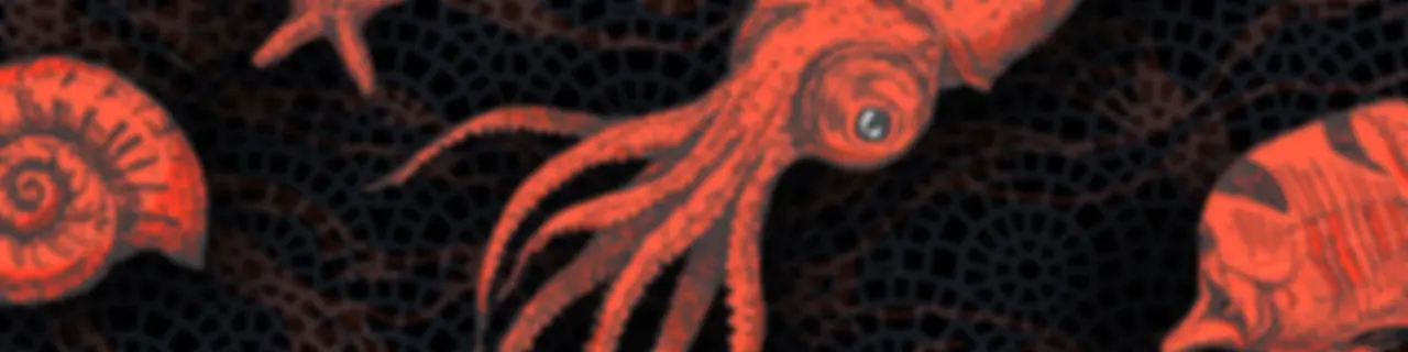 Calamares en su tinta