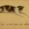 What is a Cat?