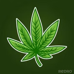 Weed Radio