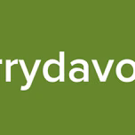 barrydavoice