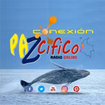 Conexión Pazcifico