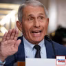 Inside the Fauci Diaries: Unpacking the Covid "Cover Up" Allegations