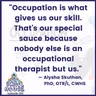 Why Every School-Based OT Needs an Occupational Profile