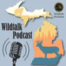 "Fire, Carolina Wrens, the Gray Fox and Rachel Says Farewell"
