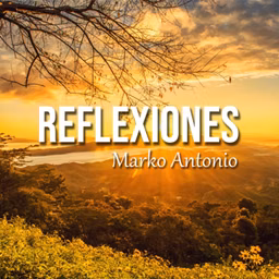 Reflexiones De Amor