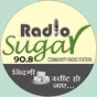 RIT Radio Sugar